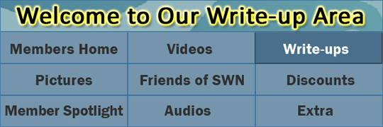 Write-Ups 2018 | Scriptwriters Network